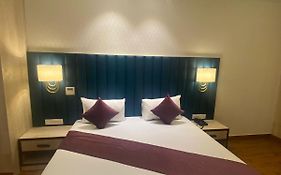 Hotel Greater Ashok Hisar 4*